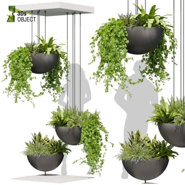 3d bush plant models botanical Visualization Landscape Foliage Vegetation buy purchase Rendering Environment tree Design high low poly greenhouse balcony decorative hamedorea 3D architectural visualization cinema 4d 3ds max blender enscpae fbx obj Rhino Sketchup lumion fern monstera ivy hanging ampelous asplenium, nidusceiling, pothos