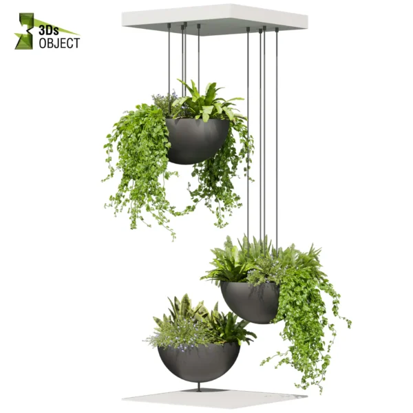 3d bush plant models botanical Visualization Landscape Foliage Vegetation buy purchase Rendering Environment tree Design high low poly greenhouse balcony decorative hamedorea 3D architectural visualization cinema 4d 3ds max blender enscpae fbx obj Rhino Sketchup lumion fern monstera ivy hanging ampelous asplenium, nidusceiling, pothos
