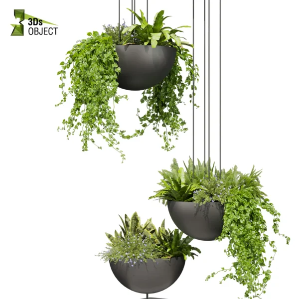 3d bush plant models botanical Visualization Landscape Foliage Vegetation buy purchase Rendering Environment tree Design high low poly greenhouse balcony decorative hamedorea 3D architectural visualization cinema 4d 3ds max blender enscpae fbx obj Rhino Sketchup lumion fern monstera ivy hanging ampelous asplenium, nidusceiling, pothos