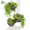 3d bush plant models botanical Visualization Landscape Foliage Vegetation buy purchase Rendering Environment tree Design high low poly greenhouse balcony decorative hamedorea 3D architectural visualization cinema 4d 3ds max blender enscpae fbx obj Rhino Sketchup lumion fern monstera ivy hanging ampelous asplenium, nidusceiling, pothos