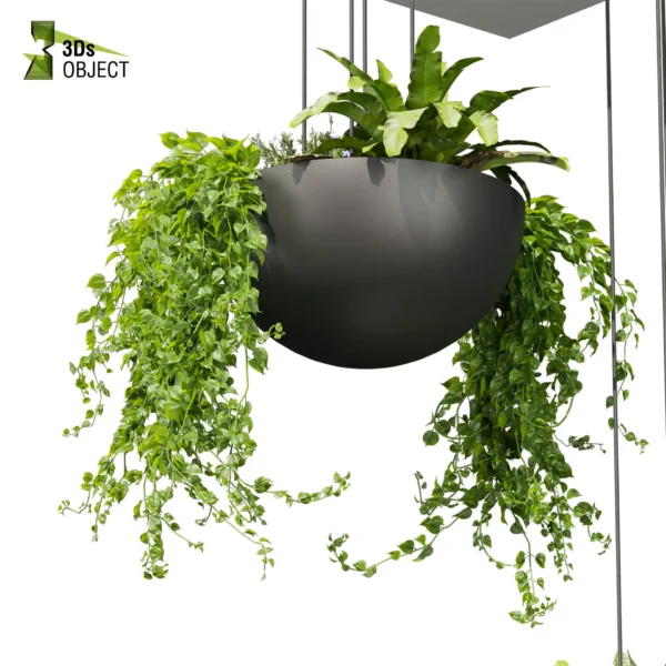 3d bush plant models botanical Visualization Landscape Foliage Vegetation buy purchase Rendering Environment tree Design high low poly greenhouse balcony decorative hamedorea 3D architectural visualization cinema 4d 3ds max blender enscpae fbx obj Rhino Sketchup lumion fern monstera ivy hanging ampelous asplenium, nidusceiling, pothos