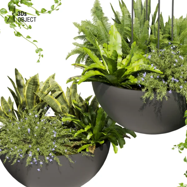 3d bush plant models botanical Visualization Landscape Foliage Vegetation buy purchase Rendering Environment tree Design high low poly greenhouse balcony decorative hamedorea 3D architectural visualization cinema 4d 3ds max blender enscpae fbx obj Rhino Sketchup lumion fern monstera ivy hanging ampelous asplenium, nidusceiling, pothos